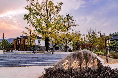 5·19中国旅游日，浙江景区免费半价畅玩，错过再等一年！